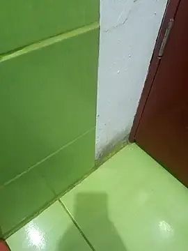 Stripchat Adult Webcams of Geminis_95