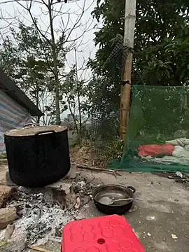 Stripchat Nude Webcam of susin-beo