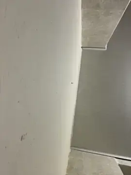 Stripchat Live Porn of AliceStarshine