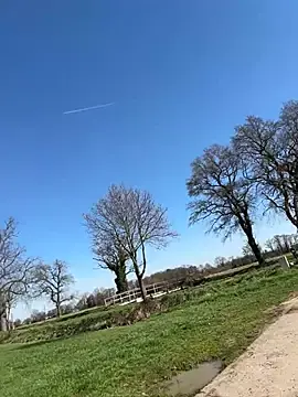 Stripchat Adult Webcam of JuicyFruits93