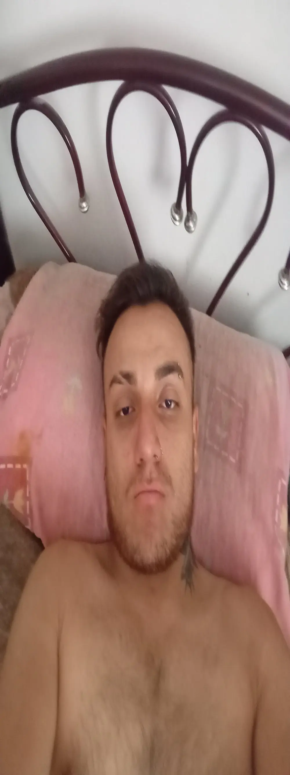 David_Alexiis