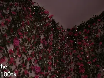 Stripchat Live Porn of Petite_Polly