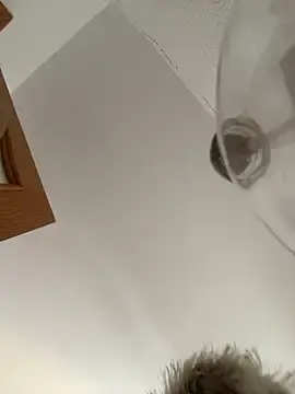 Stripchat Private Sex Chat of bunny_bicht