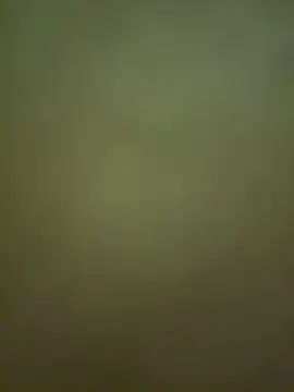 Stripchat Live Sex Cam of xiao_men