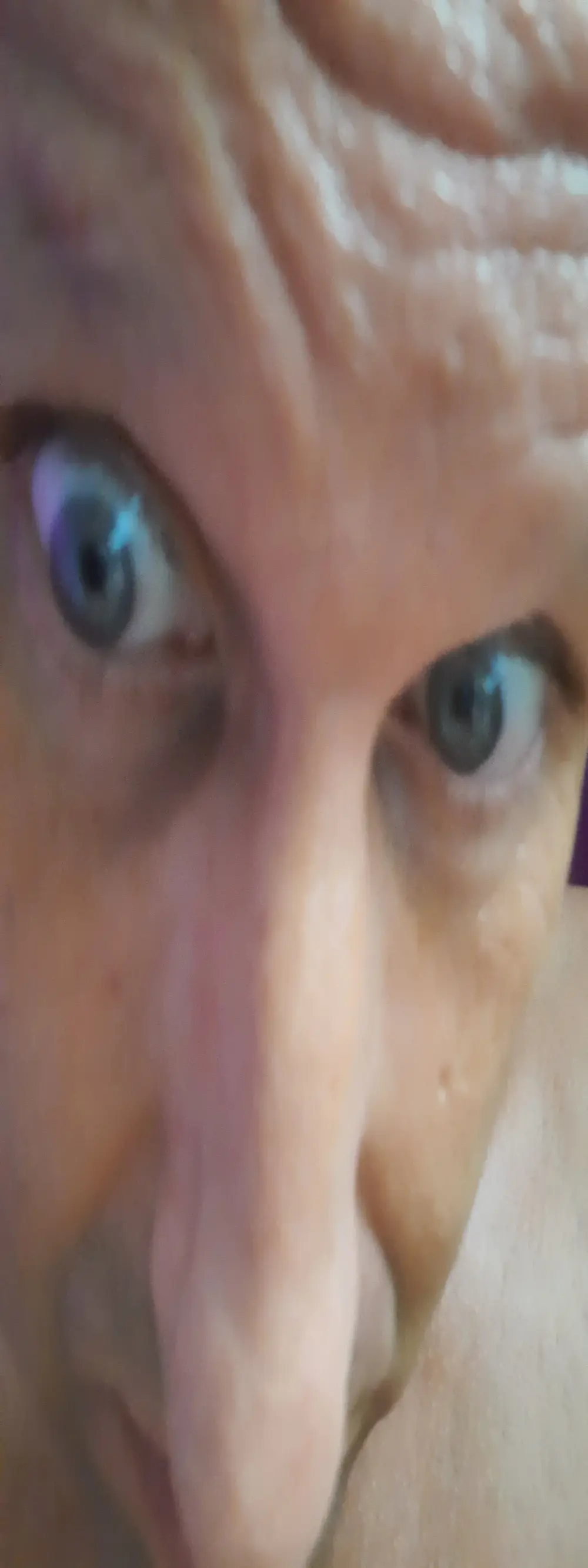 Wilderstier79