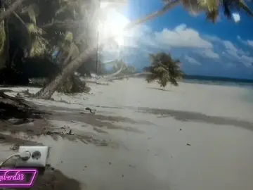 Stripchat Sex Chat of kimberd33