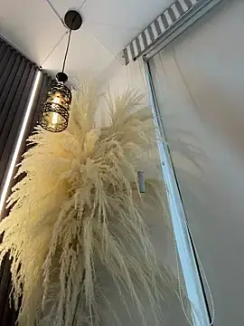 Stripchat Best Webcam of LAURA_VANESA