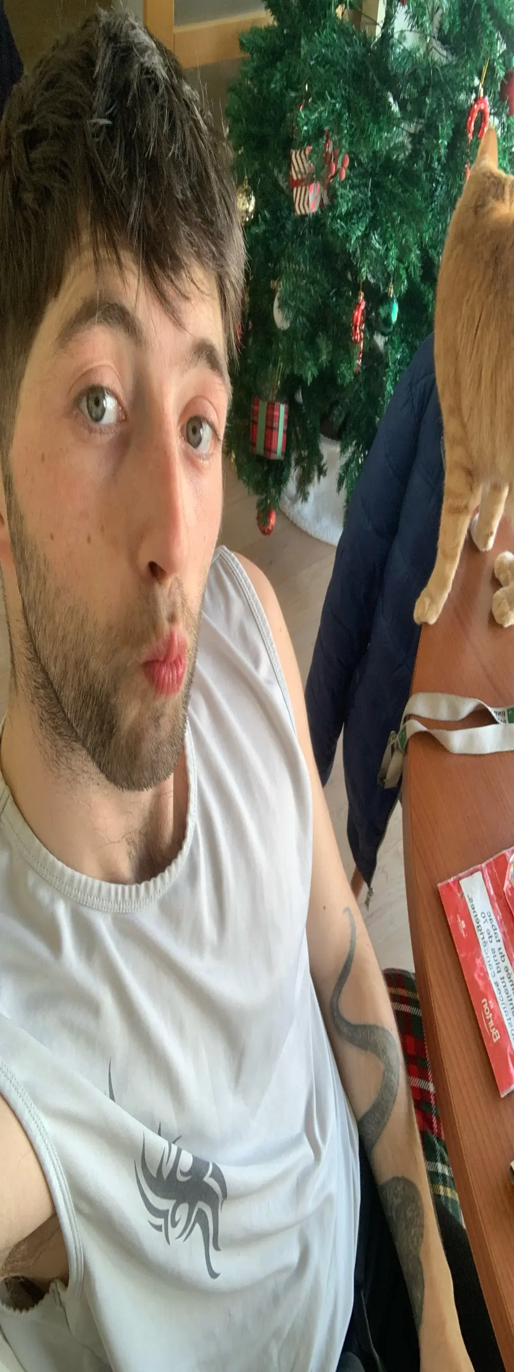 GuillaumebeauZizi