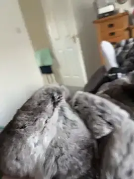 Stripchat Live Porn of Furdale