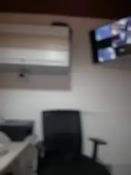 Stripchat Free Porn Cam of Sofia_Collins-