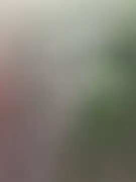 Stripchat Adult Webcam of biggandybig