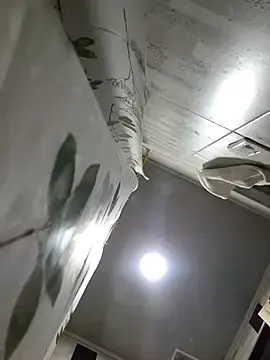 Stripchat Live Sex of linda-schmidt