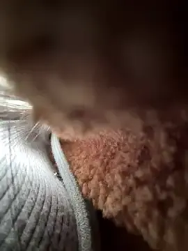 Stripchat Adult Webcam of Asia-GoodLuck