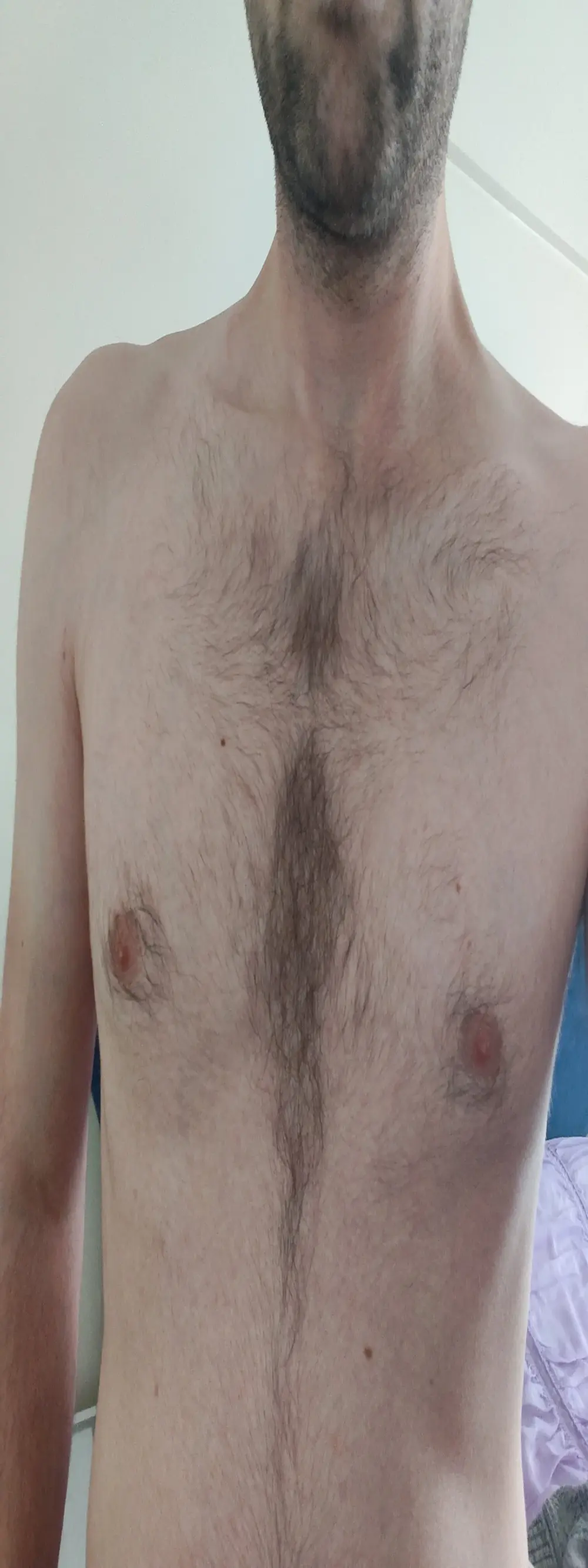 sessadasiz