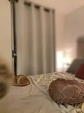 Stripchat Watch Live Sex Cams of Im_Valentina