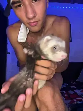 Stripchat Adult Webcam of billi_adamzz