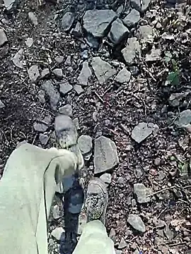 Stripchat Free Live Porn of FreezingTie850