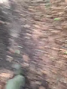 Stripchat Adult Webcam of FreezingTie850