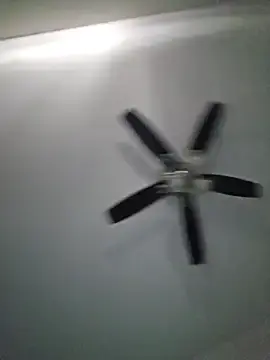 Stripchat Adult Webcam of Arbitrair