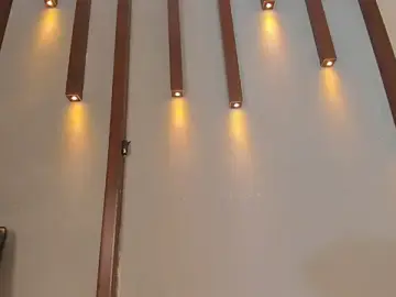 Stripchat Adult Video Chat of Sophia_Cameron