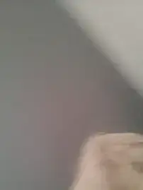 Stripchat Live Sex of FIAMMAandEROS-SEXart