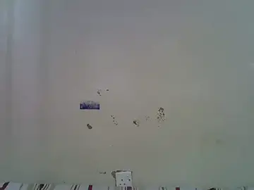 Stripchat Adult Webcams of Rasta_tattooed