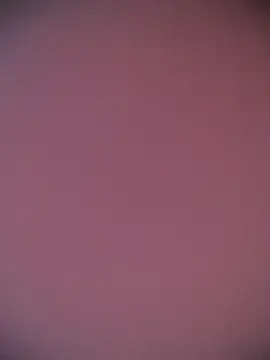 Stripchat Nude Webcam of alana_69