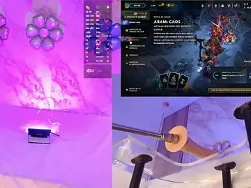 Stripchat Sex Chat of LadyReload