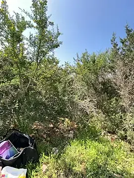 Stripchat Watch Live Sex Cams of Inked_lorena