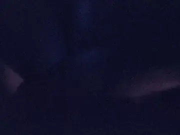 Stripchat Live Sex Cam of southFLJason305