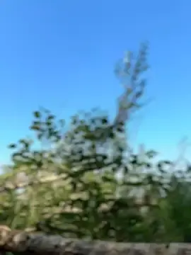Stripchat Best Webcam of LavenderHot