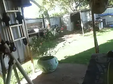 Stripchat Sex Cam of herbie010666