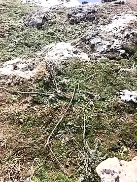 Stripchat Watch Live Sex Cams of Sert_erkek21_ysm