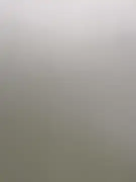 Stripchat Adult Webcams of AnneKane