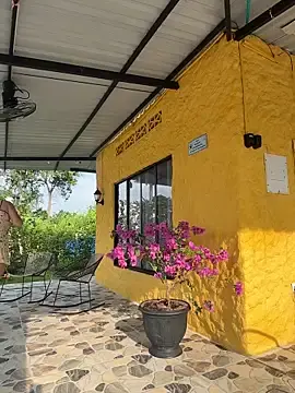 Stripchat Free Porn Cam of Eva_stark10