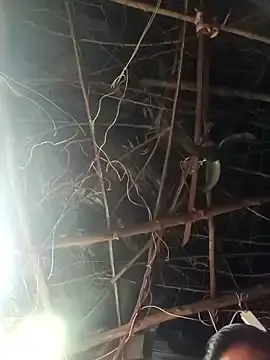 Stripchat Private Sex Chat of cute_diya_12