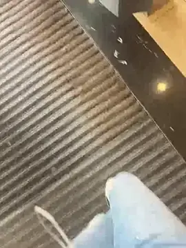 Stripchat Live Sex Cam of xPaniForeverQueen