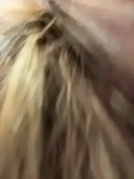 Stripchat Watch Live Sex Cams of PumaShyXD