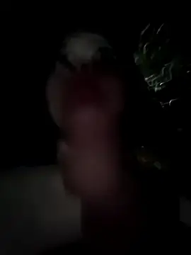 Stripchat Best Webcam of Datoka_adrenaline