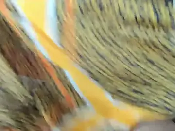 Stripchat Live Porn of Sweetdelight86