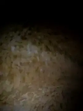 Stripchat Adult Video Chat of Hotbeauty-telugu