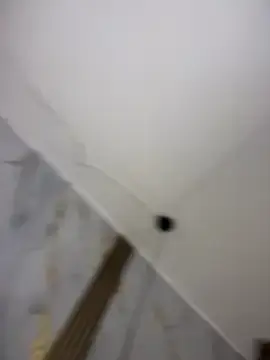 Stripchat Free Porn Cam of sara_calderon