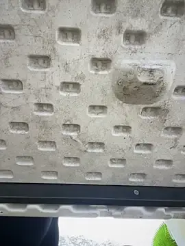 Stripchat Adult Webcams of sara_calderon