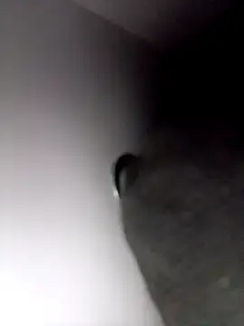 Stripchat Live Sex of SexyB214