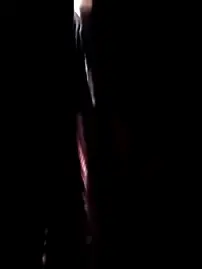 Stripchat Best Webcam of SexyB214