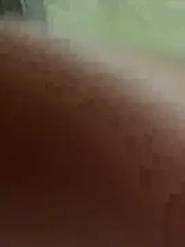 Stripchat Free Live Porn of vebvs