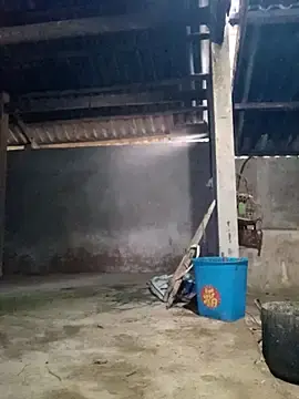 Stripchat Live Porn of Myzak-