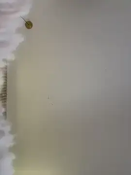 Stripchat Best live sex cam show of selenne_schmitt