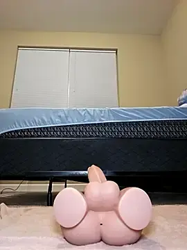 Stripchat Live Sex of AmethystFoxx