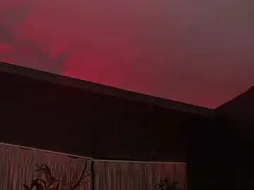 Stripchat Live Sex Cam of HotBustyBabeX